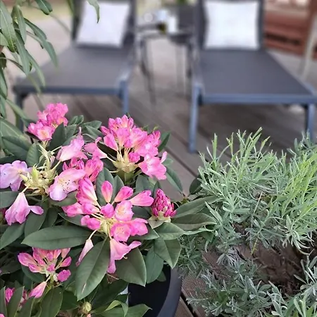 Kemping Naomi Amelie *